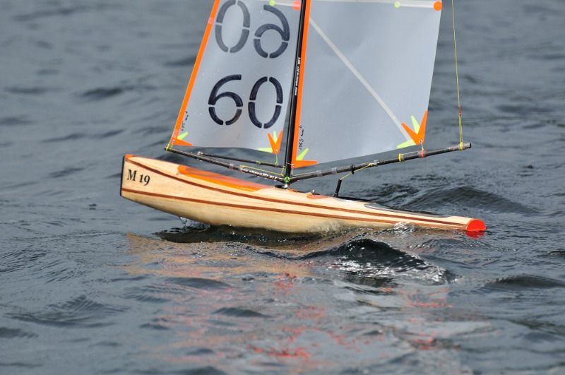 manta2019.JPG