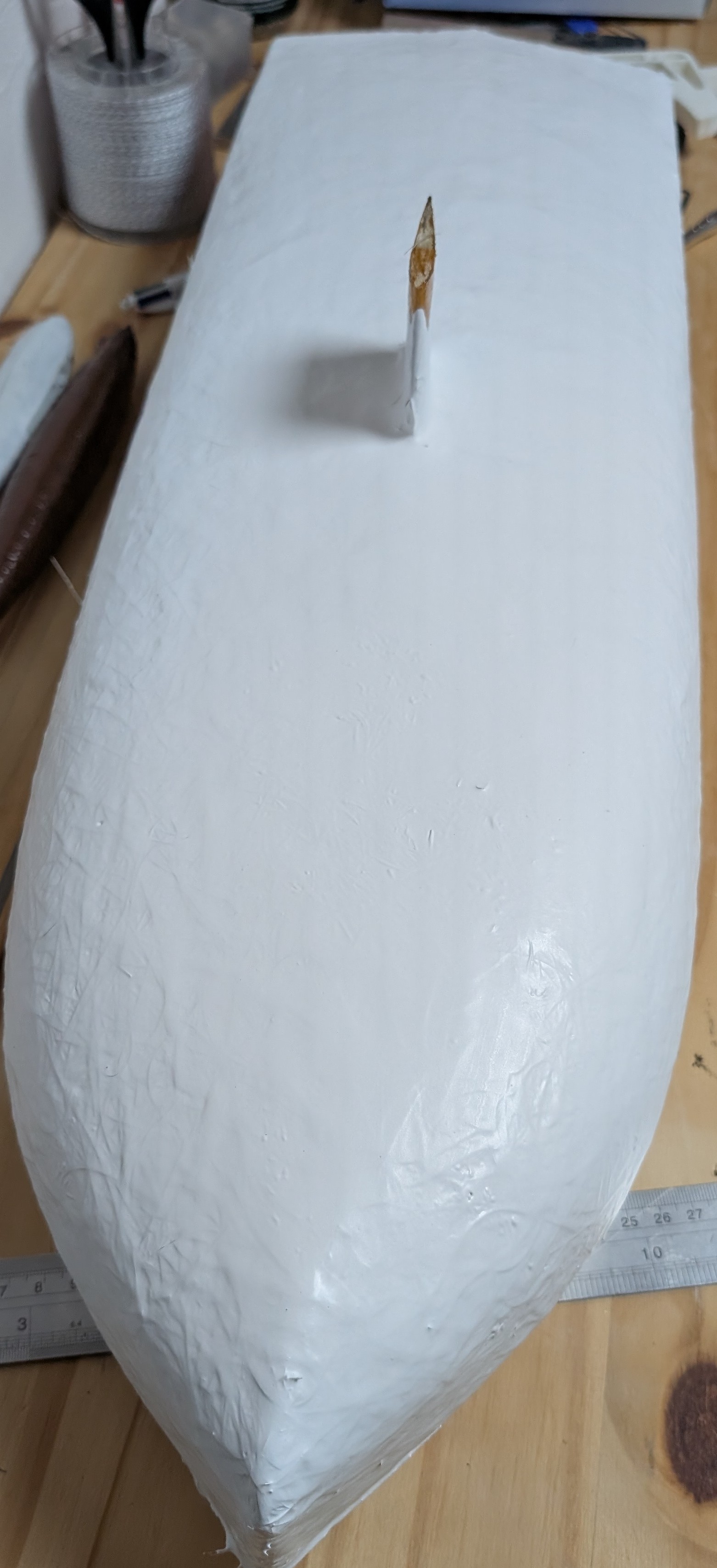 coque .jpg